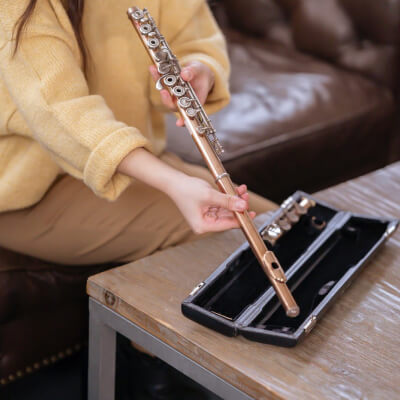 Musician Template Gallery Img B 4