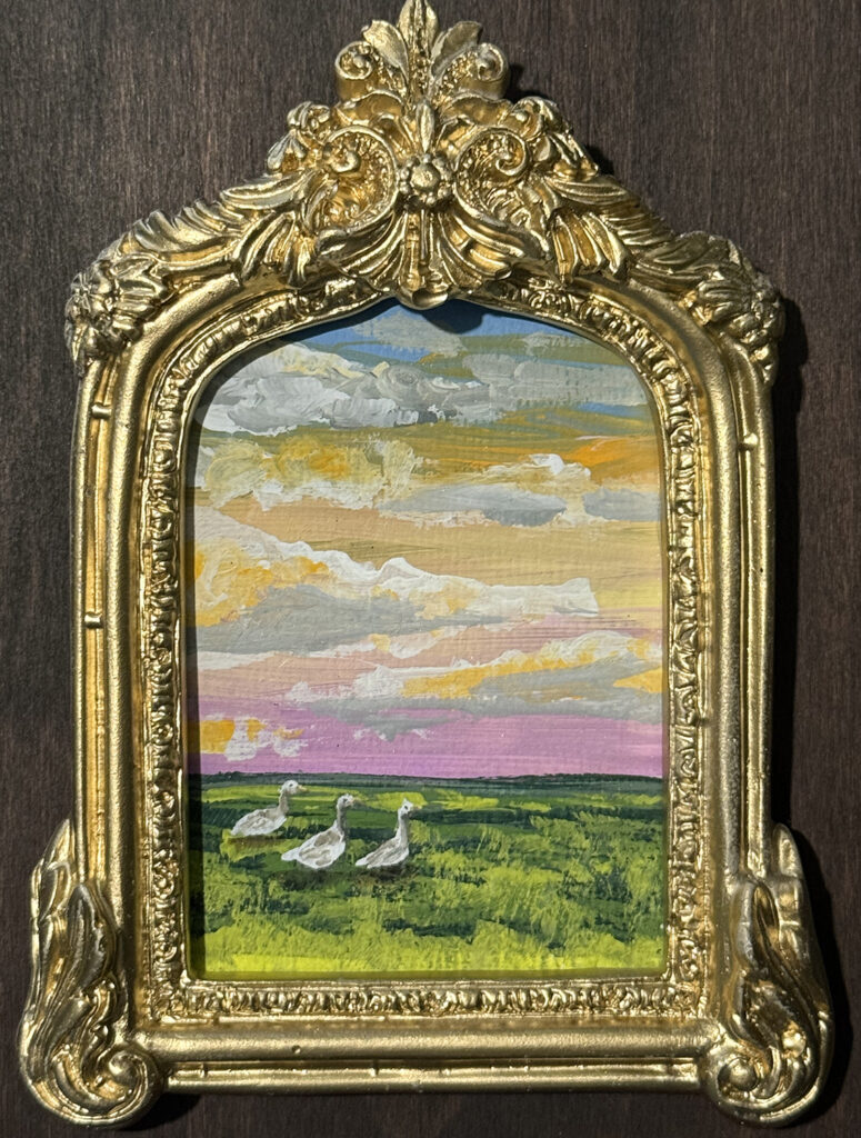 my farm and my ducks